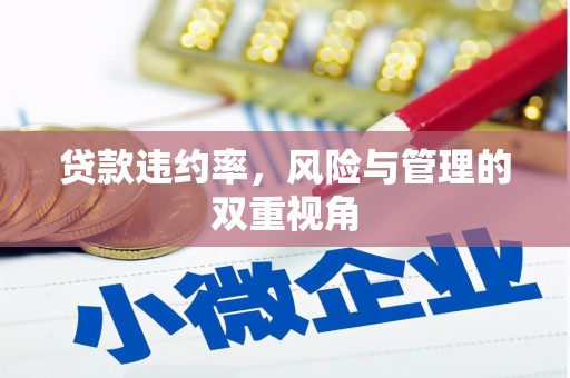 邛崃贷款违约率，风险与管理的双重视角