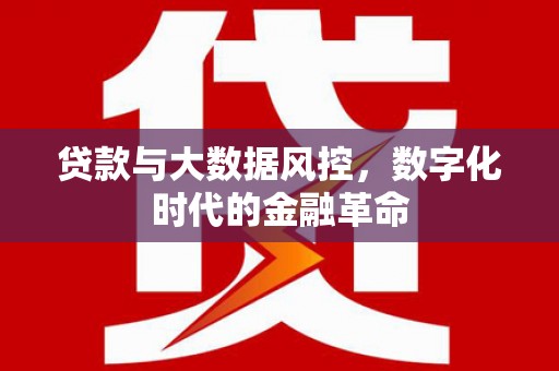 邛崃贷款与大数据风控，数字化时代的金融革命