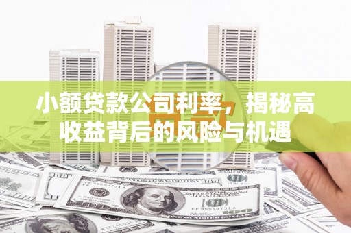 邛崃小额贷款公司利率，揭秘高收益背后的风险与机遇