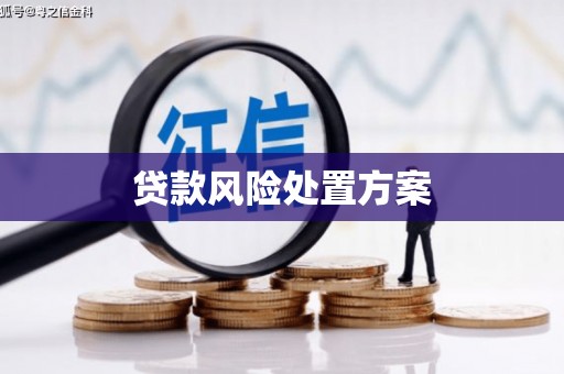 邛崃贷款风险处置方案