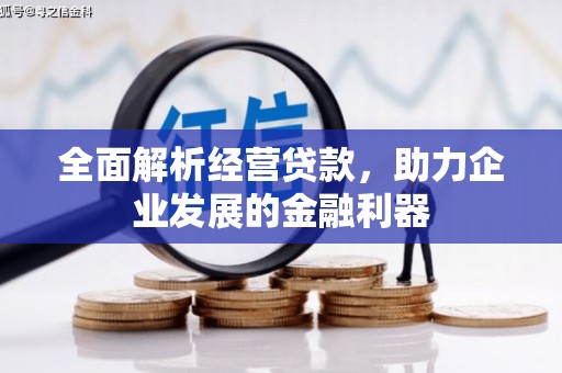 邛崃全面解析经营贷款，助力企业发展的金融利器