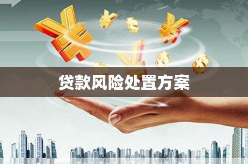邛崃贷款风险处置方案
