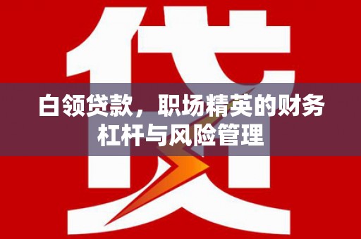邛崃白领贷款，职场精英的财务杠杆与风险管理