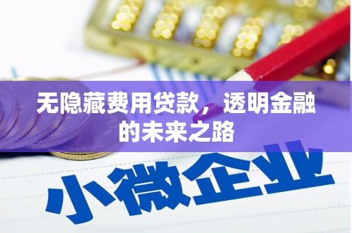 邛崃无隐藏费用贷款，透明金融的未来之路