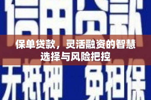 邛崃保单贷款，灵活融资的智慧选择与风险把控
