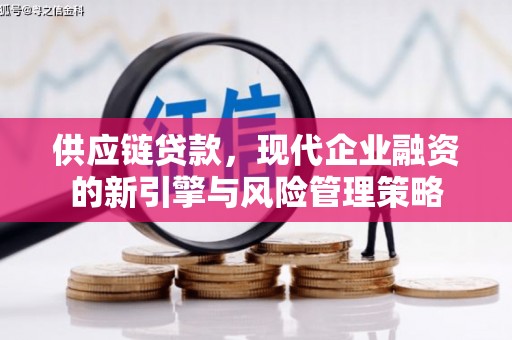 邛崃供应链贷款，现代企业融资的新引擎与风险管理策略