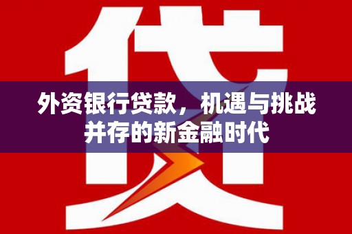 邛崃外资银行贷款，机遇与挑战并存的新金融时代