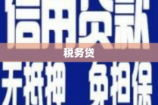 邛崃税务贷