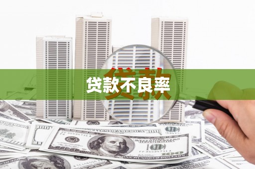 邛崃贷款不良率