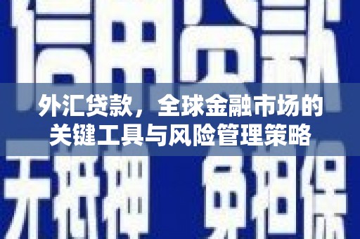 邛崃外汇贷款，全球金融市场的关键工具与风险管理策略