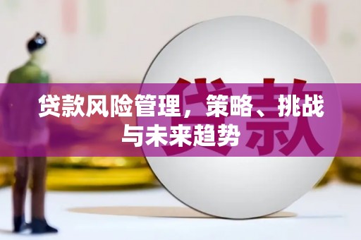 邛崃贷款风险管理，策略、挑战与未来趋势