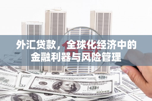 邛崃外汇贷款，全球化经济中的金融利器与风险管理