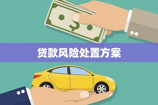 邛崃贷款风险处置方案