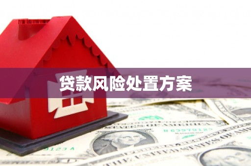 邛崃贷款风险处置方案
