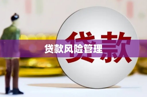 邛崃贷款风险管理