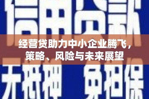 邛崃经营贷助力中小企业腾飞，策略、风险与未来展望