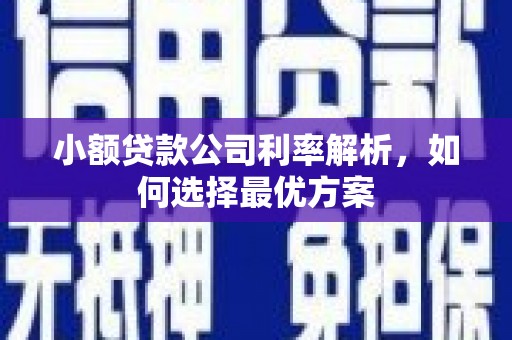邛崃小额贷款公司利率解析，如何选择最优方案