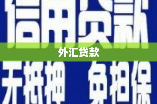 邛崃外汇贷款
