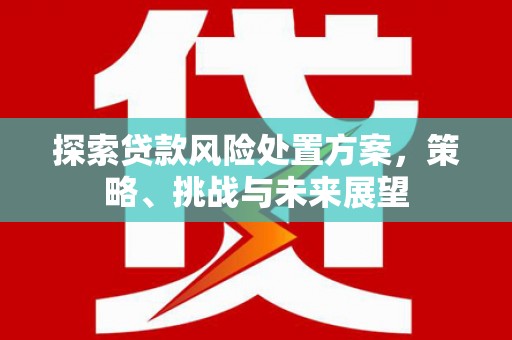 邛崃探索贷款风险处置方案，策略、挑战与未来展望