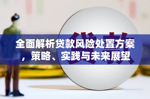 邛崃全面解析贷款风险处置方案，策略、实践与未来展望