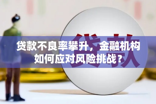 邛崃贷款不良率攀升，金融机构如何应对风险挑战？