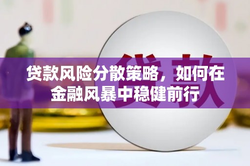 邛崃贷款风险分散策略，如何在金融风暴中稳健前行