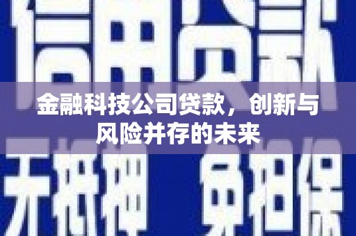 邛崃金融科技公司贷款，创新与风险并存的未来
