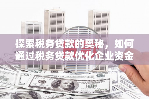 邛崃探索税务贷款的奥秘，如何通过税务贷款优化企业资金流