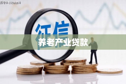 邛崃养老产业贷款