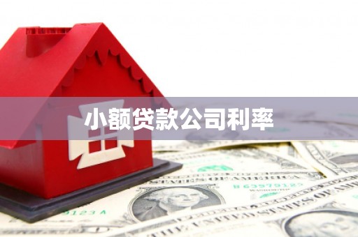 邛崃小额贷款公司利率