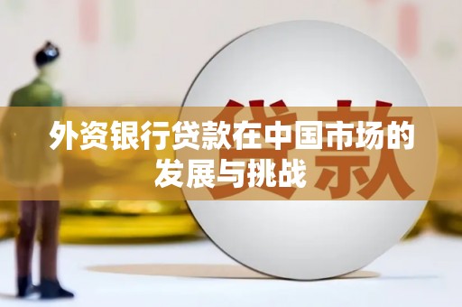 邛崃外资银行贷款在中国市场的发展与挑战