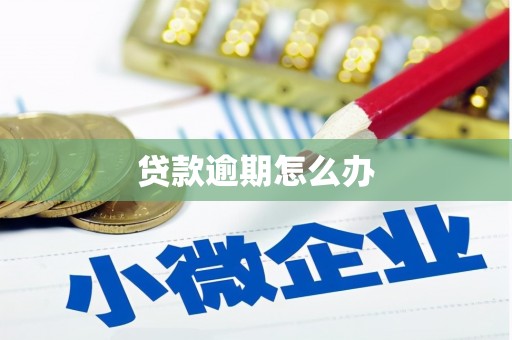 邛崃贷款逾期怎么办