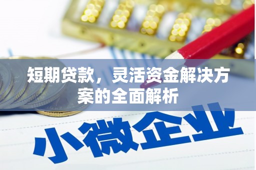 邛崃短期贷款，灵活资金解决方案的全面解析