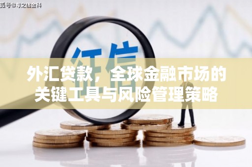 邛崃外汇贷款，全球金融市场的关键工具与风险管理策略