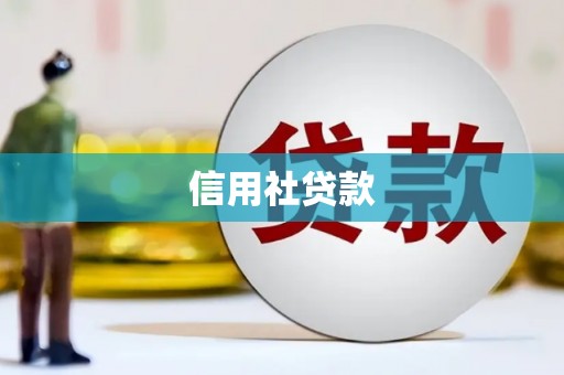 邛崃信用社贷款