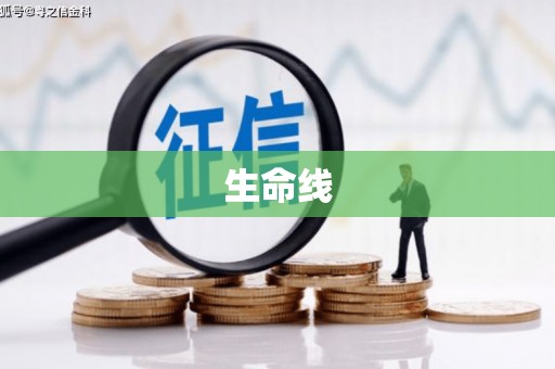 邛崃生命线