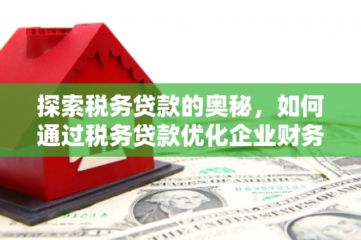 邛崃探索税务贷款的奥秘，如何通过税务贷款优化企业财务
