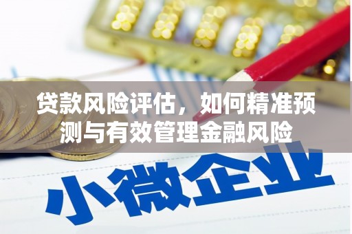 邛崃贷款风险评估，如何精准预测与有效管理金融风险