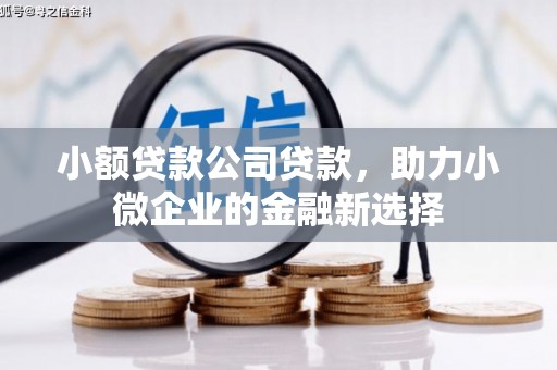 邛崃小额贷款公司贷款，助力小微企业的金融新选择