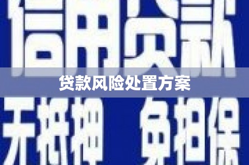 邛崃贷款风险处置方案