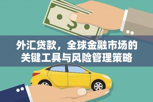 邛崃外汇贷款，全球金融市场的关键工具与风险管理策略