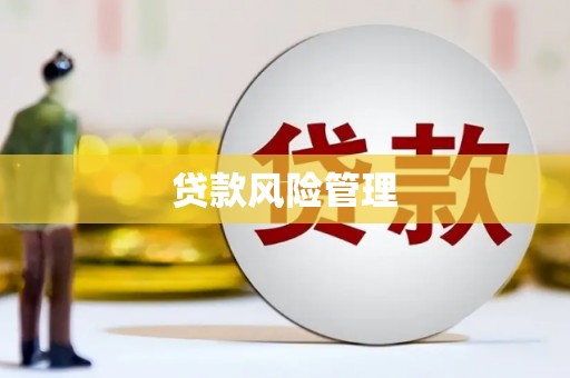 邛崃贷款风险管理