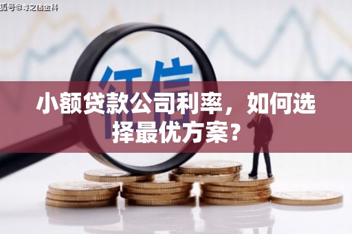 邛崃小额贷款公司利率，如何选择最优方案？