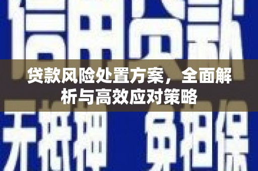 邛崃贷款风险处置方案，全面解析与高效应对策略