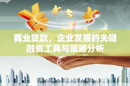 邛崃商业贷款，企业发展的关键融资工具与策略分析