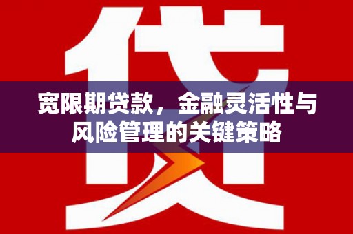 邛崃宽限期贷款，金融灵活性与风险管理的关键策略