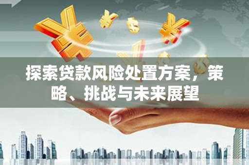 邛崃探索贷款风险处置方案，策略、挑战与未来展望