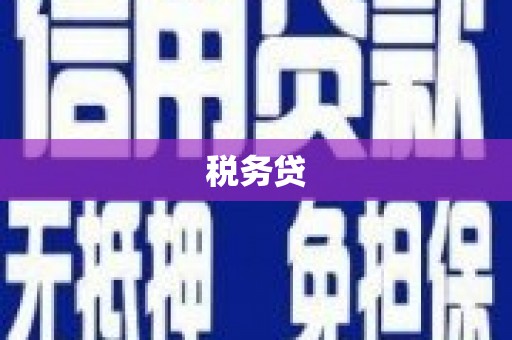 邛崃税务贷