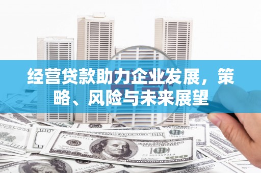 邛崃经营贷款助力企业发展，策略、风险与未来展望