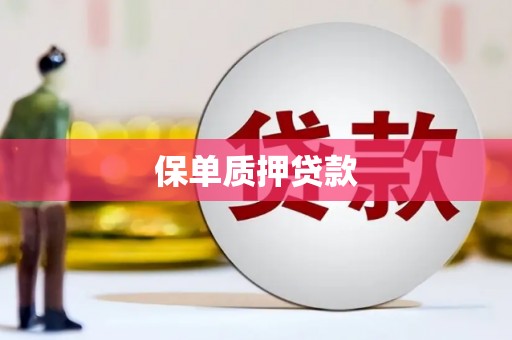 邛崃保单质押贷款